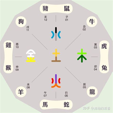 癸酉年五行|癸酉年是什么意思 癸酉年五行属什么